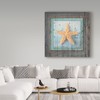 Trademark Fine Art Lightboxjournal 'Framed Gypsy Sea Star' Canvas Art, 14x14 ALI23626-C1414GG